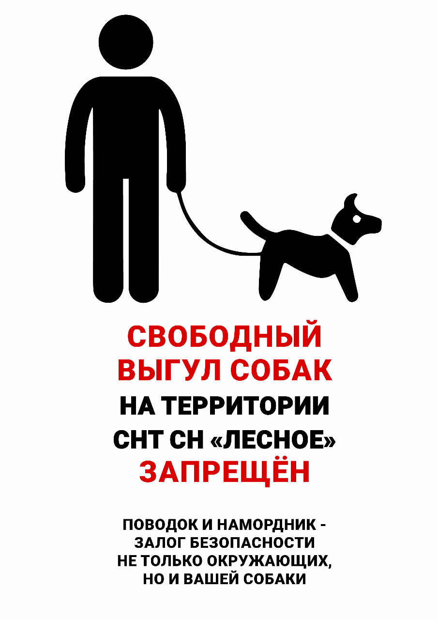 Правила выгула домашних животных
